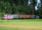 2020.08.27 JHMD T47.019 Jindřichův Hradec - Nová Bystřice Güterverkehr Rollbock